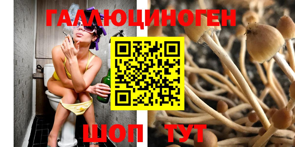 Галлюциногенные грибы MAGIC MUSHROOMS Богданович